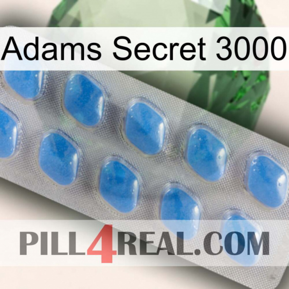 Adams Secret 3000 22
